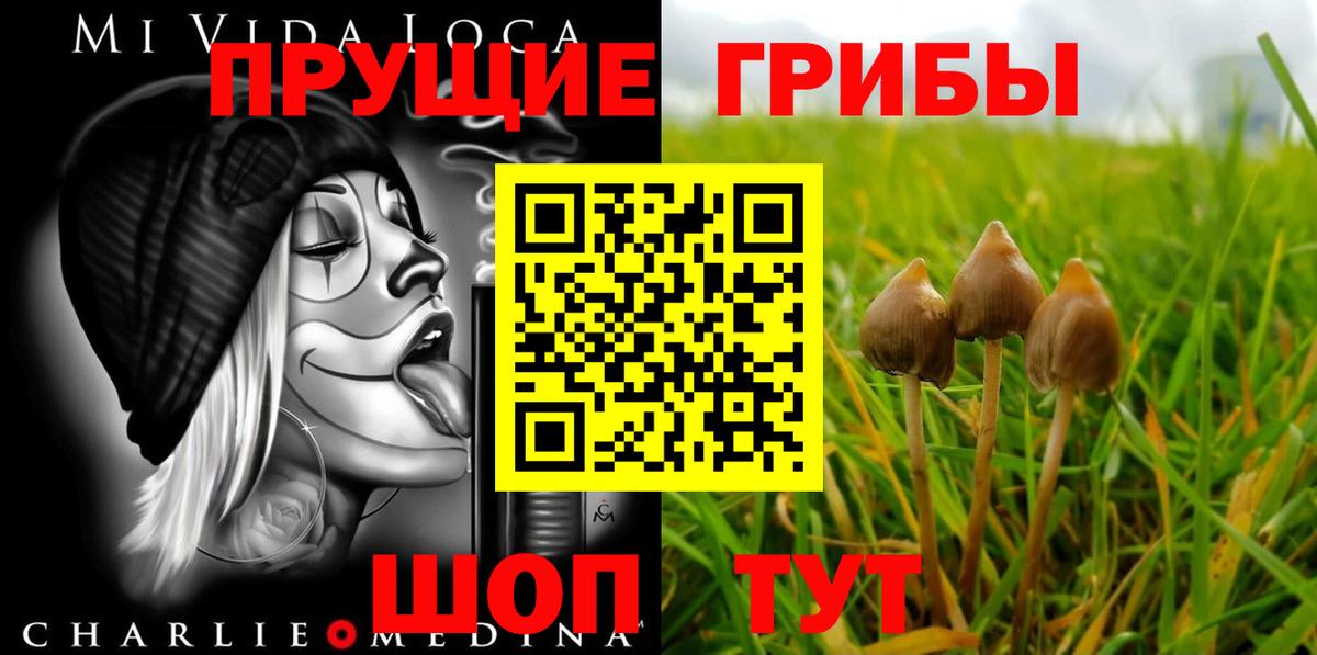 Орск  Псилоцибиновые грибы прущие грибы  Вход с VPN  Псилоцибиновые грибы Cubensis 